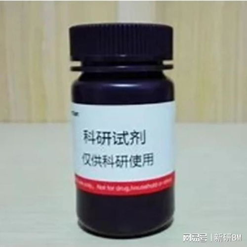 Biotin-PEG10000-NH? 含有生物素和氨基的線性異雙功能PEG在非臨床診斷用生物試劑研發(fā)中的應用